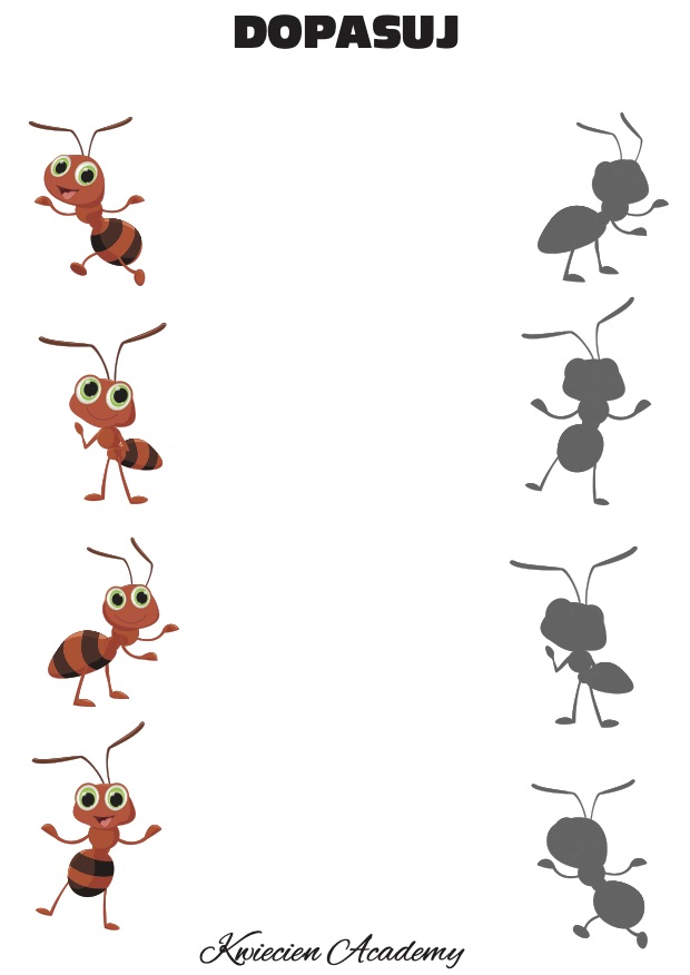 dopasuj mrówki