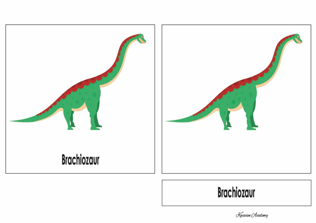 Karty trójdzielone - dinozaury