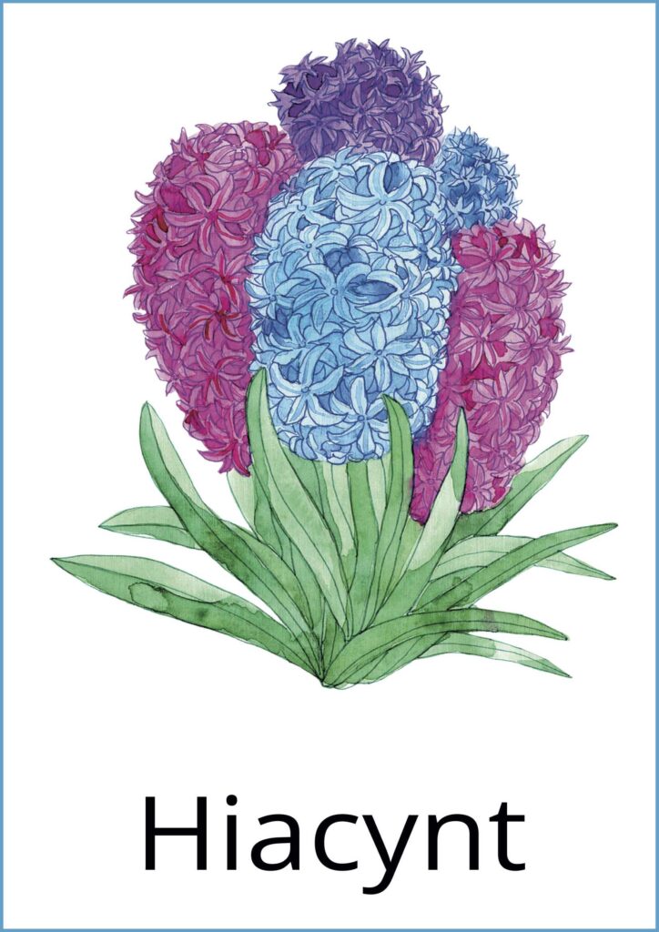 Wiosenne kwiaty karty demonstracyjne