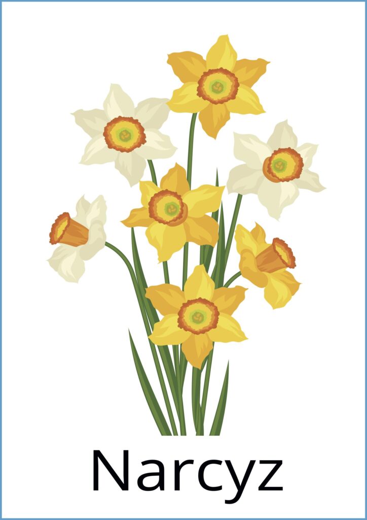 Wiosenne kwiaty karty demonstracyjne