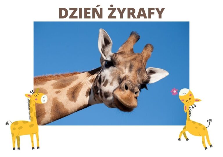 dzień żyrafy