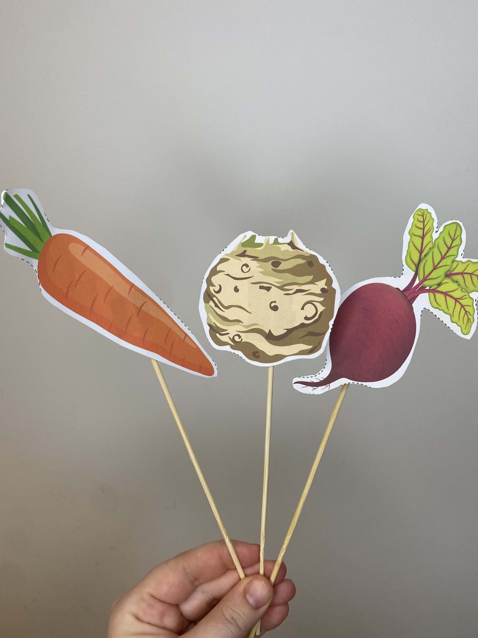 "Na straganie" - warzywa na opaski oraz patyczki 