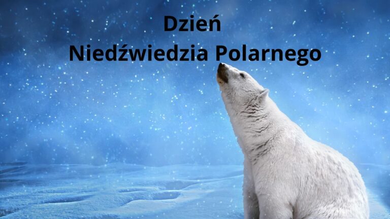 Grafika „Dzień Niedźwiedzia Polarnego" ze zdjęciem niedźwiedzia polarnego