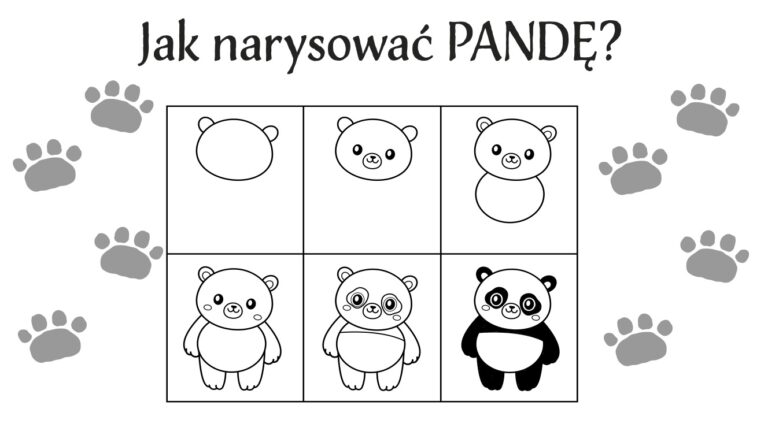 Karta pracy „Jak narysować pandę?" — instrukcja rysowania krok po kroku